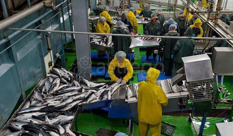 Земля с/х назначения, 0.8 га Зеленоград - изображение 3