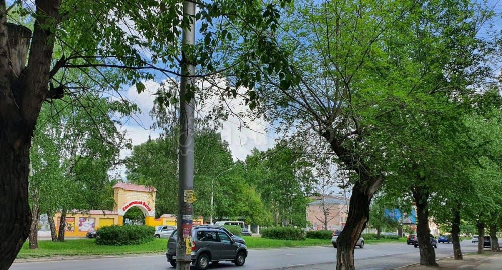 Торговое помещение, 63.2 м2 Барнаул - изображение 2