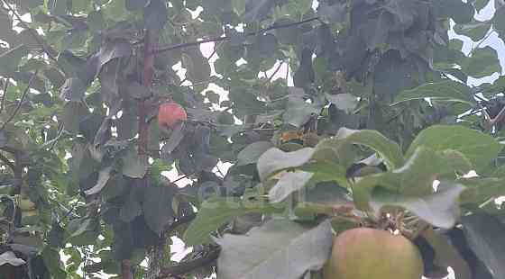 Дом, 500 м2, 5.8 сотки, 3 эт. Благовещенск