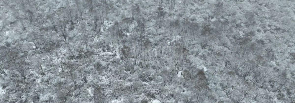 Земельный участок, 6 соток Шатура - изображение 1