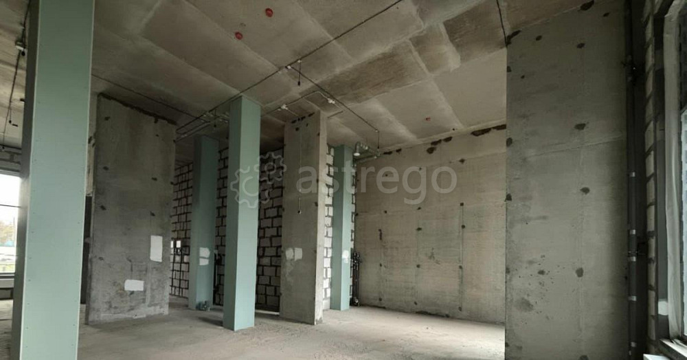 Торговое помещение, 101 м2 Котельники - изображение 5