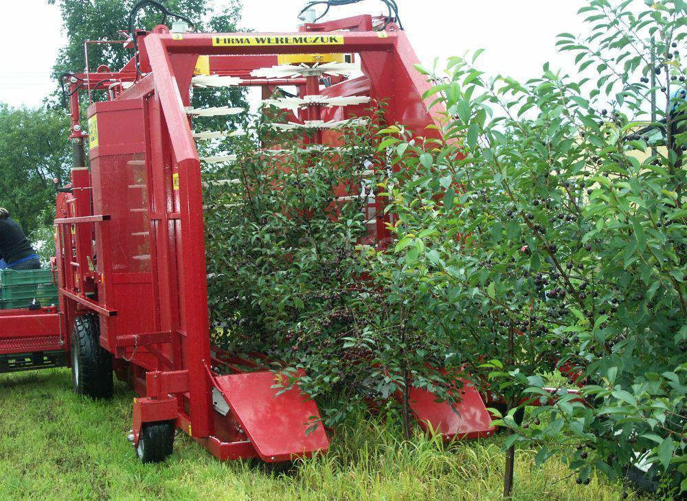 Комбайн для уборки вишни Felix/Z Rol Красногорск - изображение 1