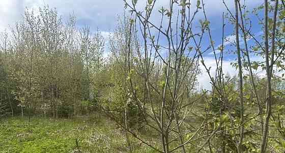 Земельный участок, 9 соток Истра