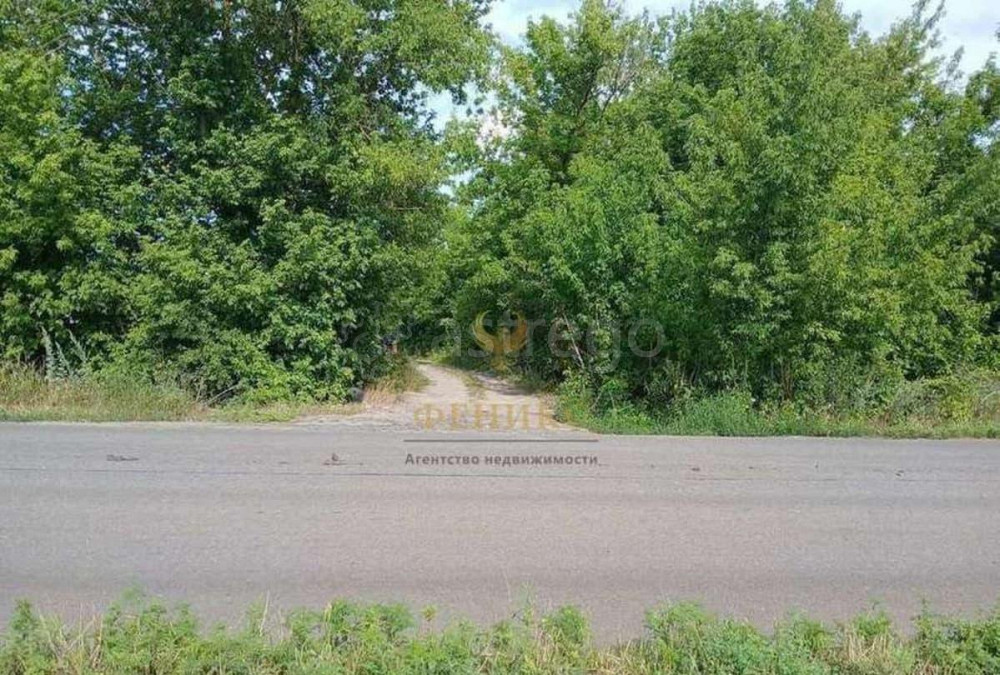 Земельный участок, 9.6 сотки Разумное - изображение 3