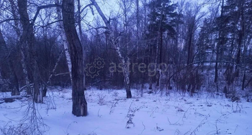 Земельный участок, 9.67 га Березовка - изображение 1