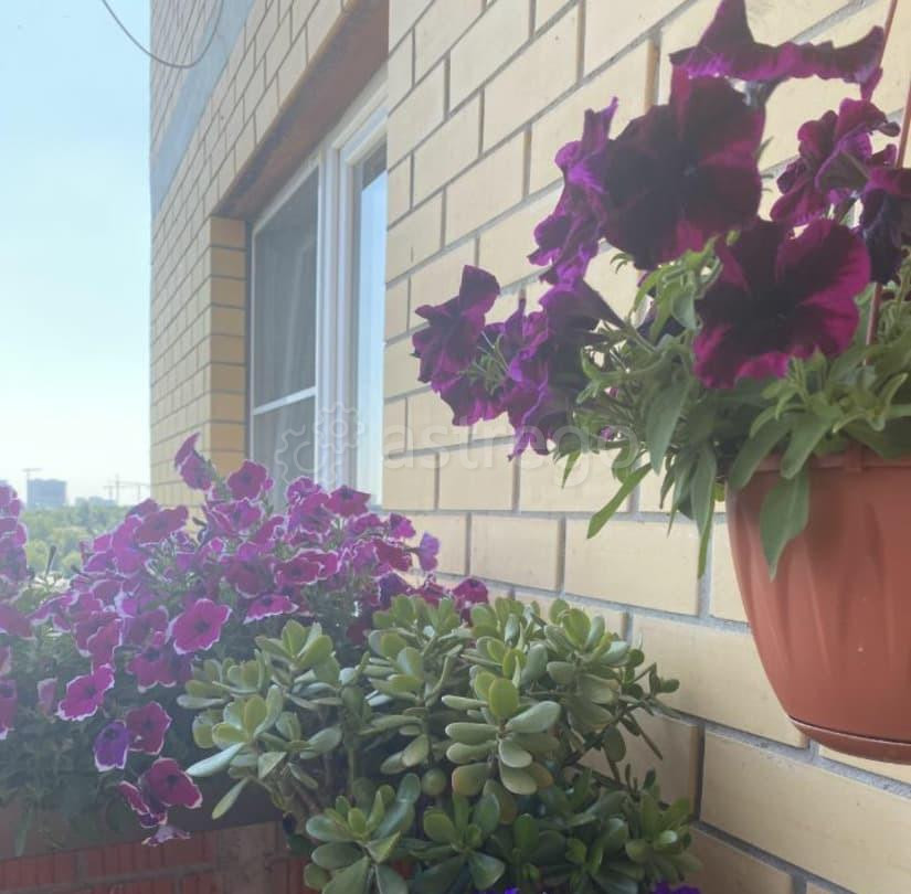 2-комн. квартира, 72 м2, 10/17 эт. Пушкино - изображение 1