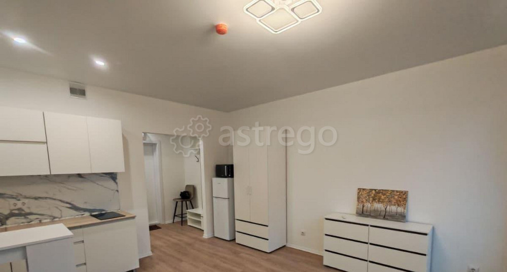 Студия, 25 м2, 13/16 эт. Одинцово - изображение 3