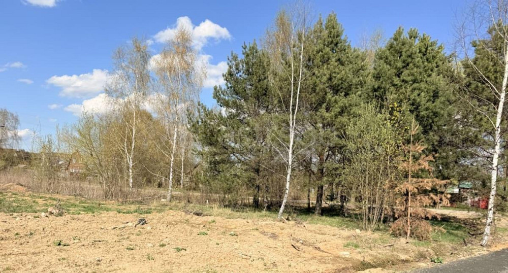 Земельный участок, 10.3 сотки Пушкино - изображение 3
