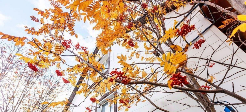 Дом, 260 м2, 4.6 сотки, 3 эт. Красноярск - изображение 7