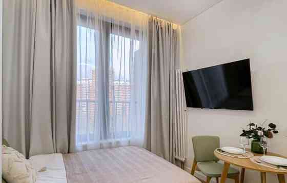 1-комн. квартира, 16 м2, 5/29 эт. Москва