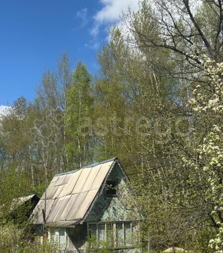 Дача, 45 м2 Чехов - изображение 5