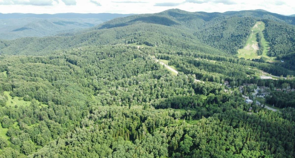 Коммерческий участок, 2.88 га Белокуриха - изображение 4