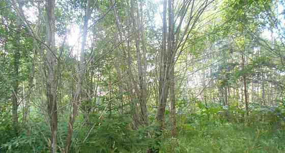 Земельный участок, 14.31 сотки Шаховская