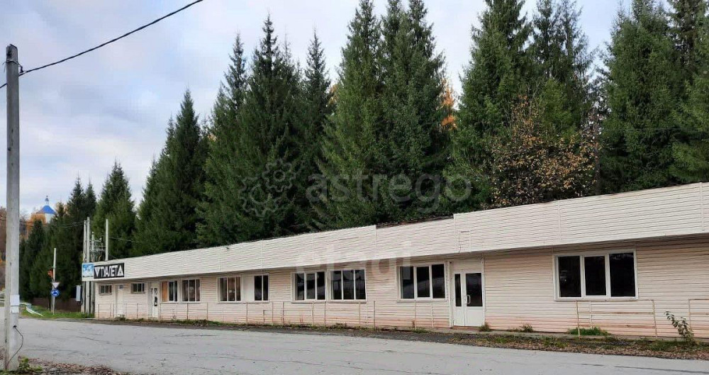 Торговое помещение, 530.3 м2 Алтайское - изображение 6