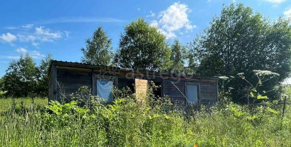 Земельный участок, 12 соток Шаховская - изображение 6