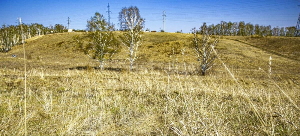 Земельный участок, 15 соток Красноярск - изображение 2