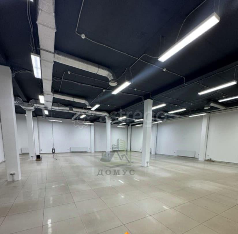 Торговое помещение, 265 м2 Раменское - изображение 7