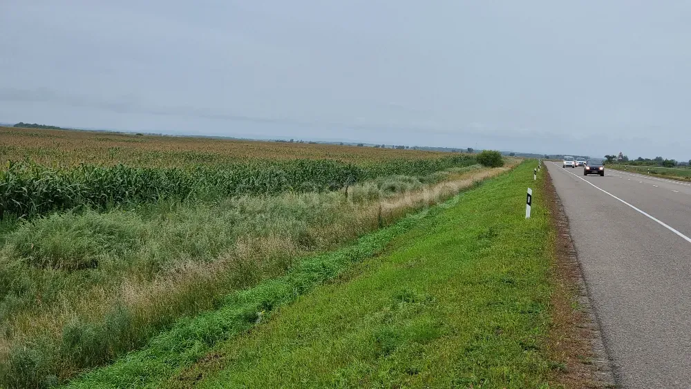 Сдам участок, Фермерский, 25200 сот., долгосрочно Благовещенск - изображение 2