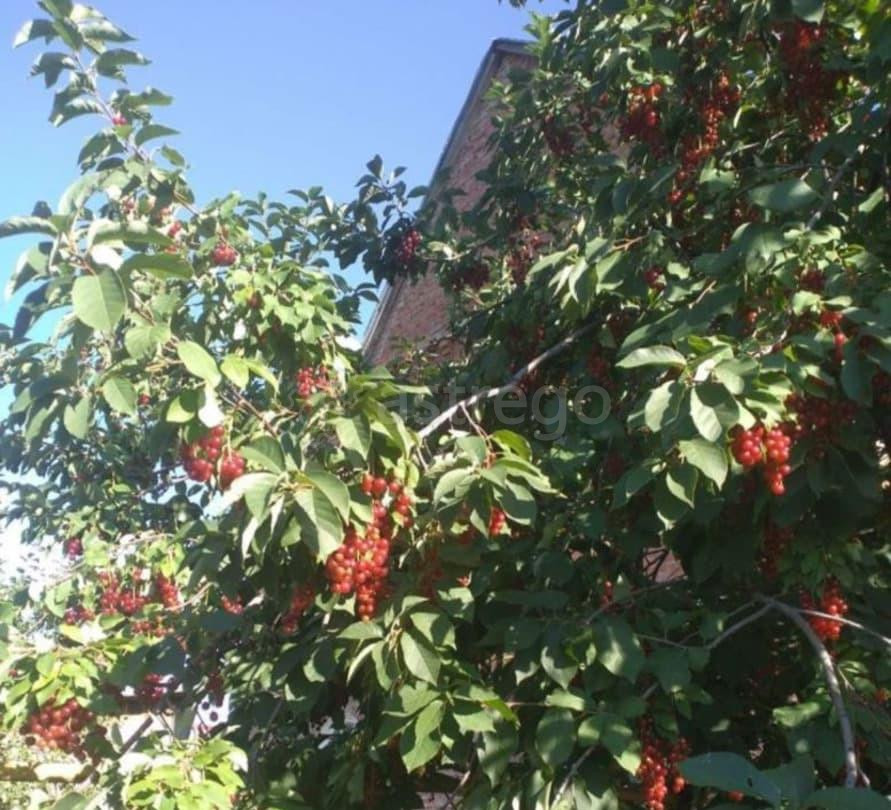 Коттедж, 170 м2, 10 соток, 2 эт. Белорецк - изображение 5