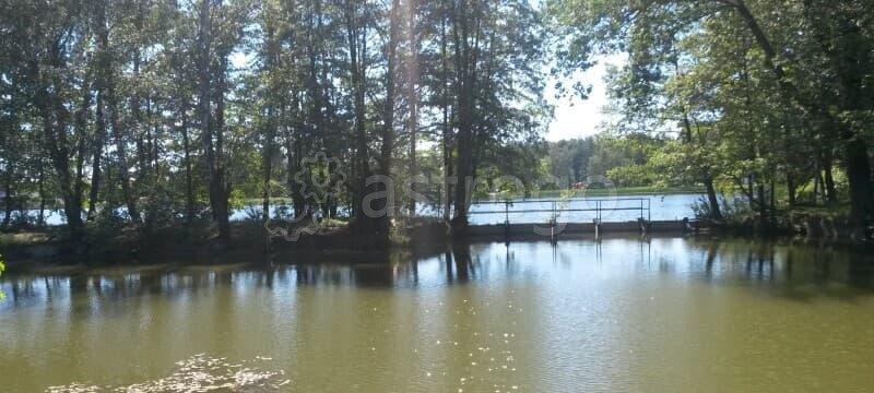 Земля под ИЖС, 8 соток Павловский Посад - изображение 8