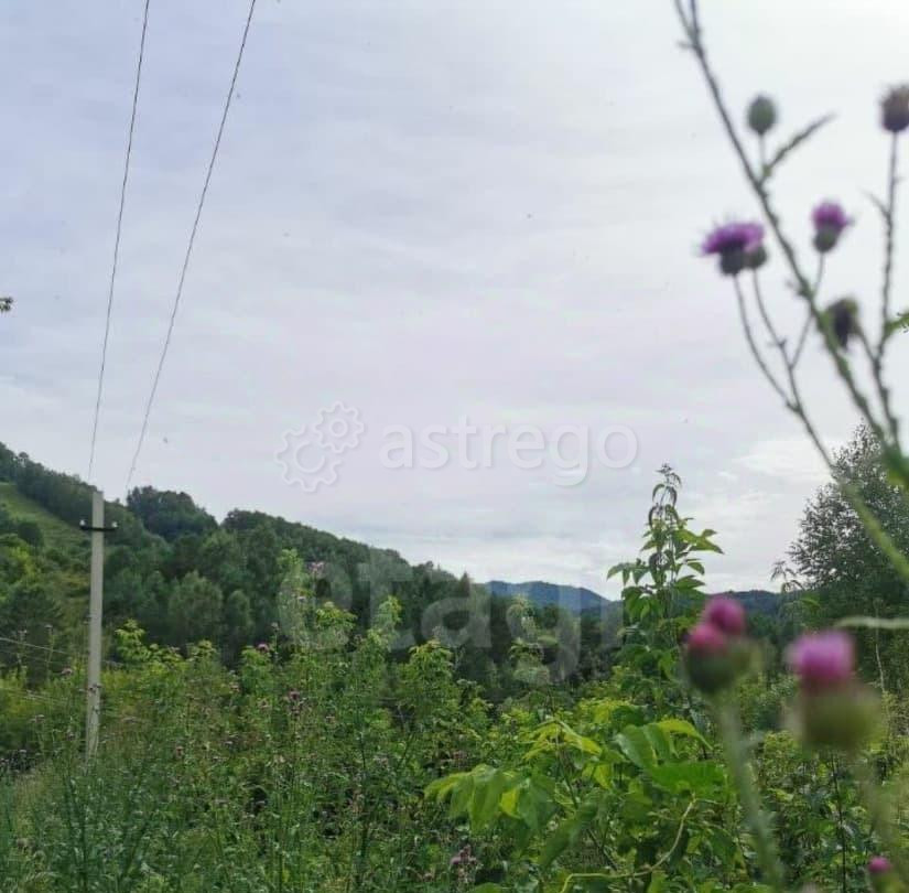 Земельный участок, 9.97 сотки Белокуриха - изображение 5