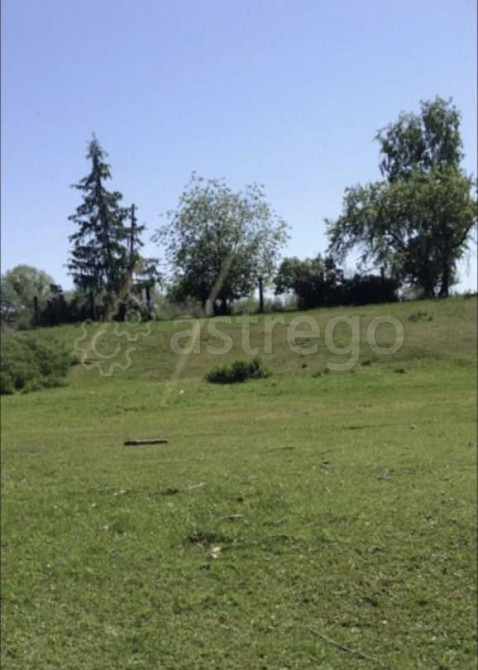 Земельный участок, 2 га Тальменка - изображение 2