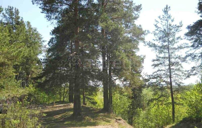 Земля с/х назначения, 8 соток Павловский Посад - изображение 8