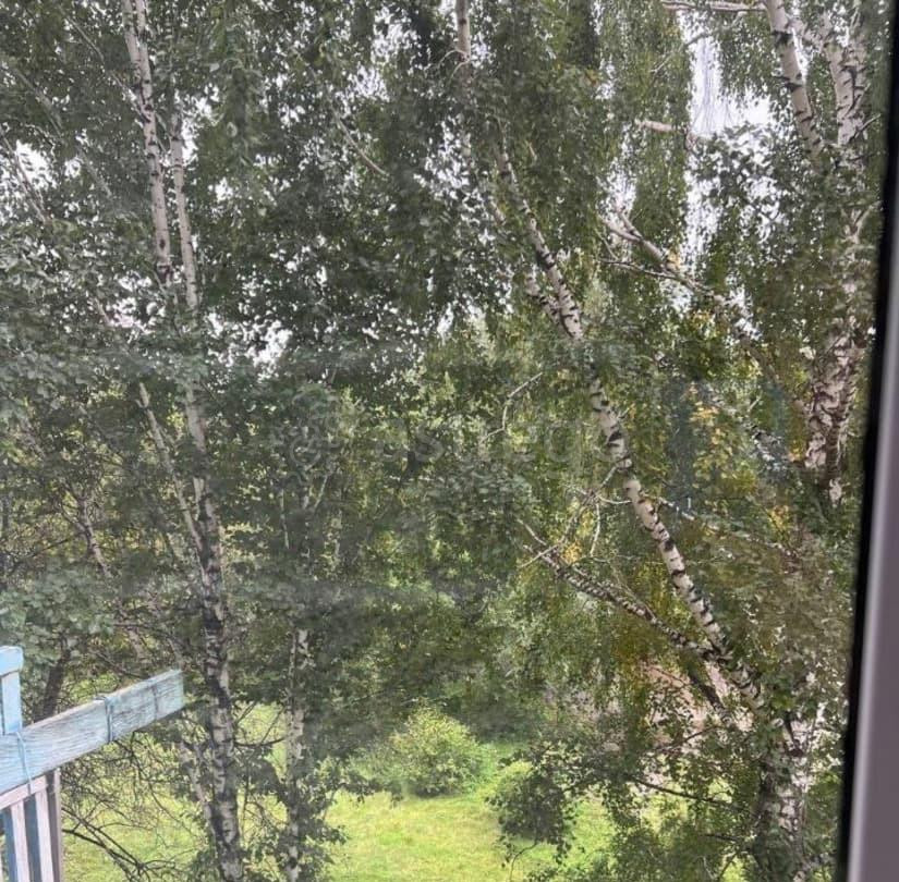 2-комн. квартира, 45 м2, 3/5 эт. Шушенское - изображение 4