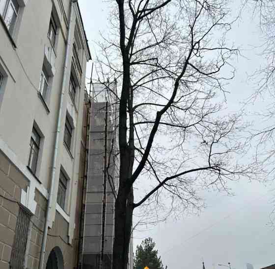 Комната, 18.6 м2, 5/5 эт. Москва