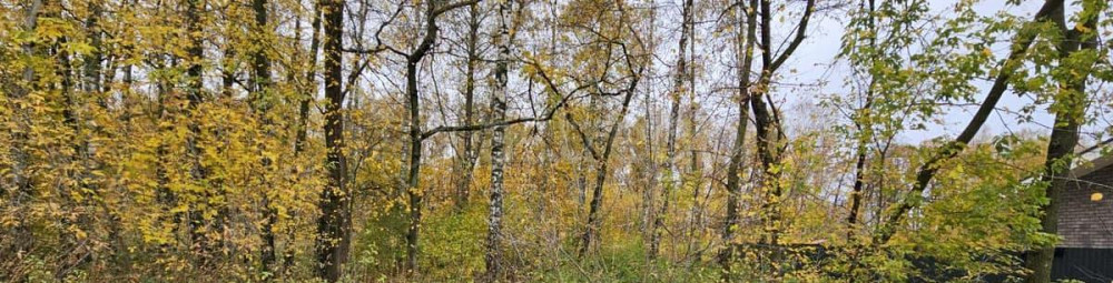 Коммерческий участок, 10 соток Луховицы - изображение 1