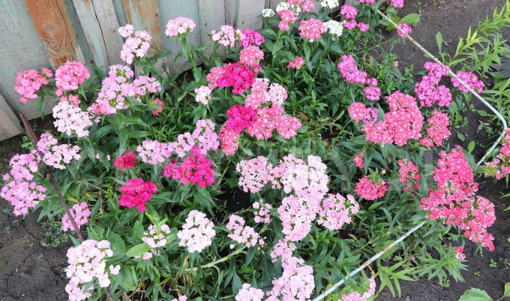 Дом, 50 м2, 4 сотки, 1 эт. Барнаул - изображение 7