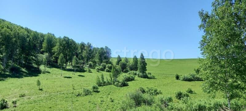 Коммерческий участок, 27 соток Алтайское - изображение 3