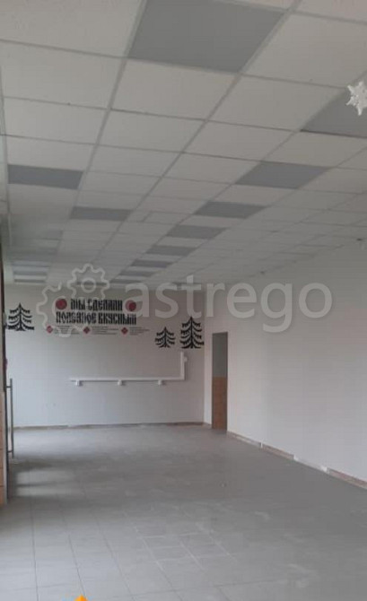 Торговое помещение, 198 м2 Архангельск - изображение 3