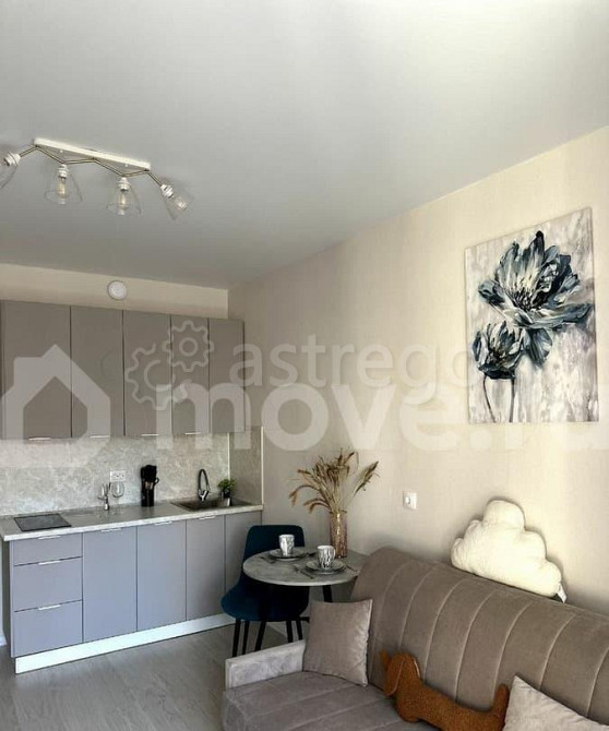Студия, 21 м2, 8/25 эт. Москва - изображение 5