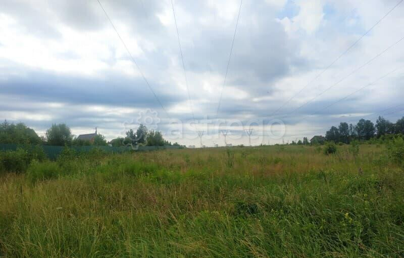 Земля с/х назначения, 17.59 сотки Чехов - изображение 4