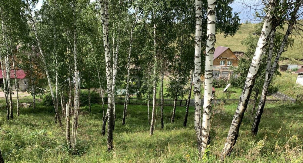 Земельный участок, 15 соток Красноярск - изображение 6