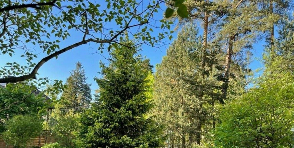 Коттедж, 320 м2, 15.26 сотки, 2 эт. Санкт-Петербург - изображение 5