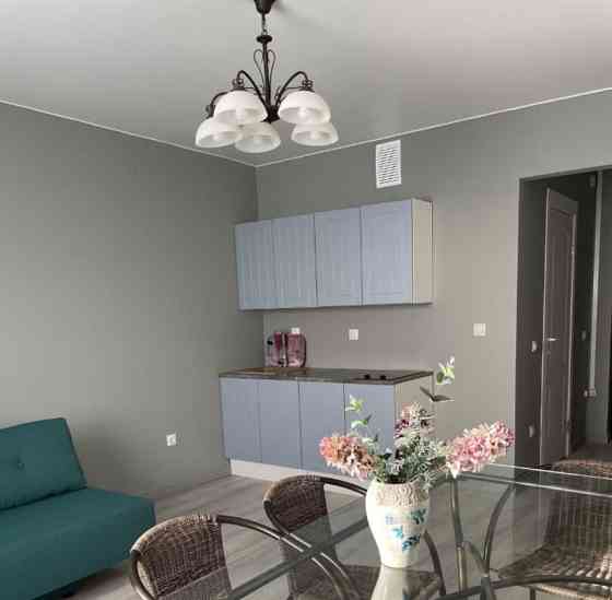 Студия, 28 м2, 18/26 эт. Санкт-Петербург
