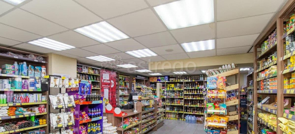 Торговое помещение, 160 м2 Красноярск - изображение 4