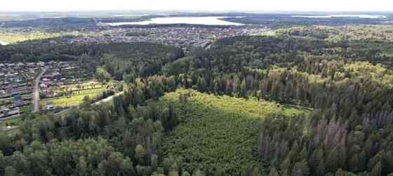 Земля с/х назначения, 30 га Можайск