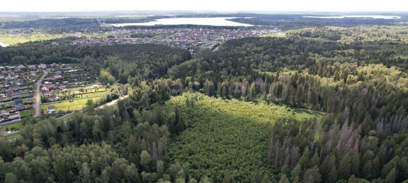 Земля с/х назначения, 30 га Можайск - изображение 4