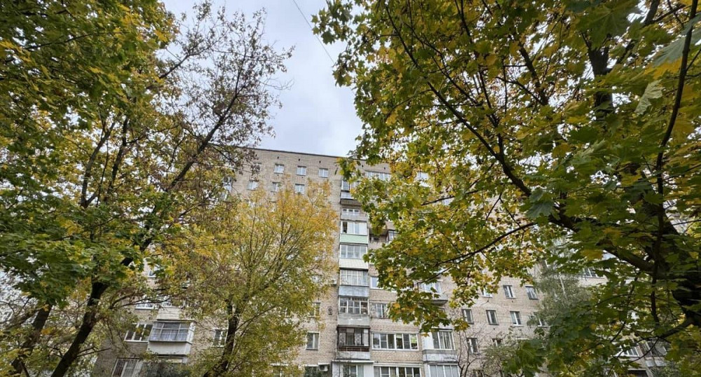 3-комн. квартира, 56 м2, 3/9 эт. Балашиха - изображение 2