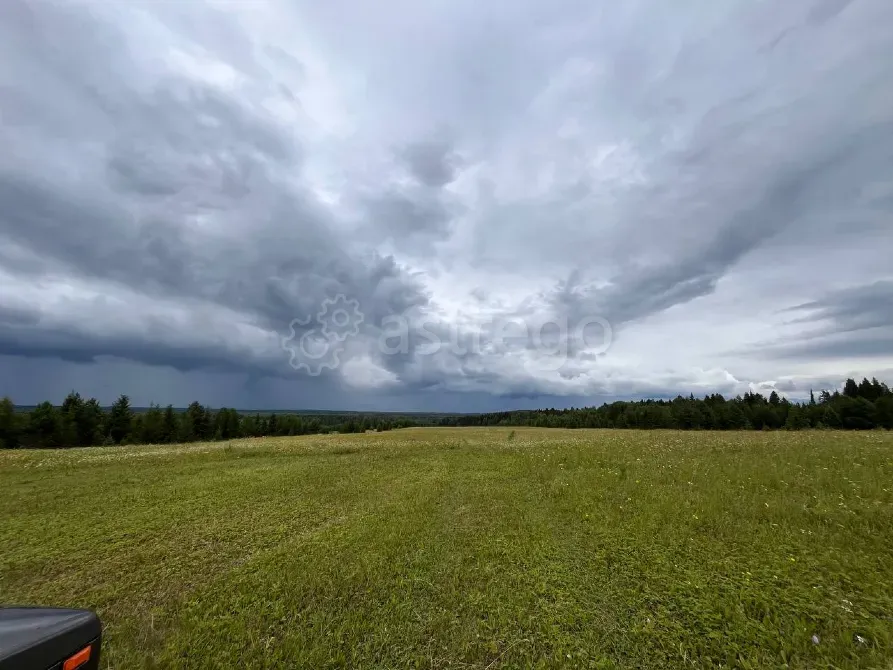 Продам участок, Фермерский, 30000 сот. Пермь - изображение 4