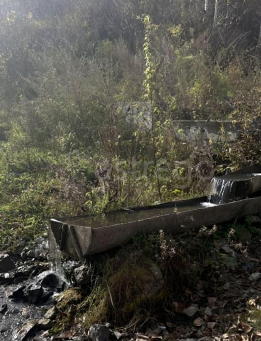 Коммерческий участок, 28 соток Алтайское - изображение 3