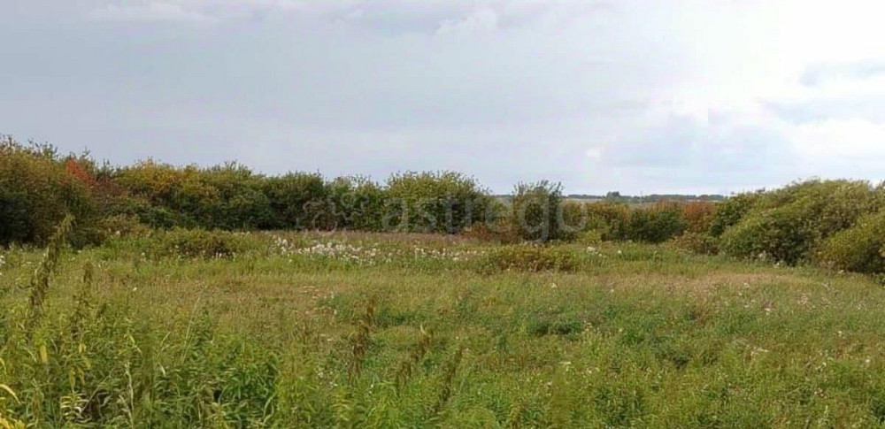 Земельный участок, 10.5 сотки Емельяново - изображение 6