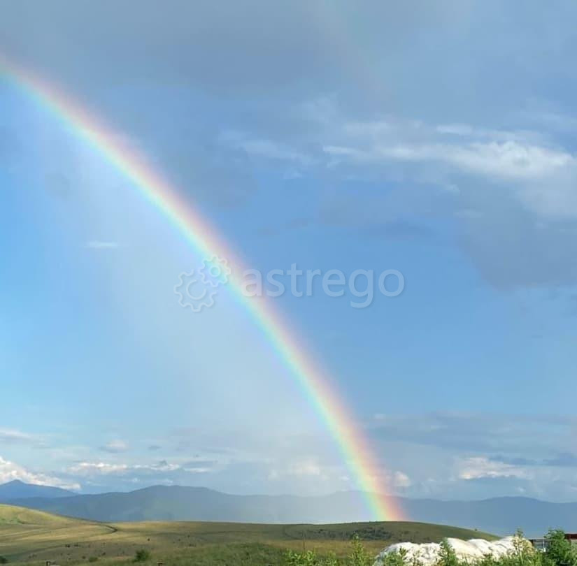 Земельный участок, 70 га Алтайское - изображение 6