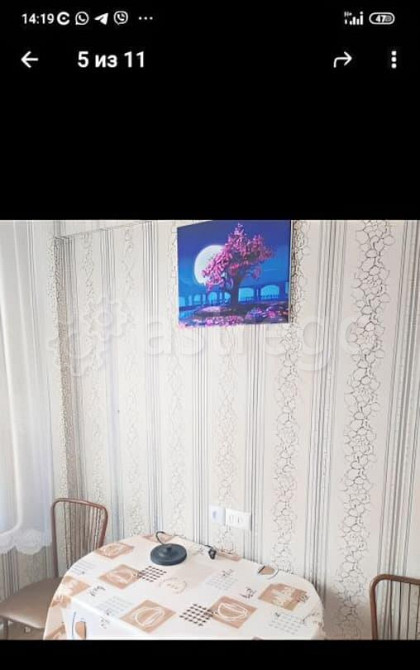 Комната, 44 м2, 2/3 эт. Зеленогорск - изображение 5