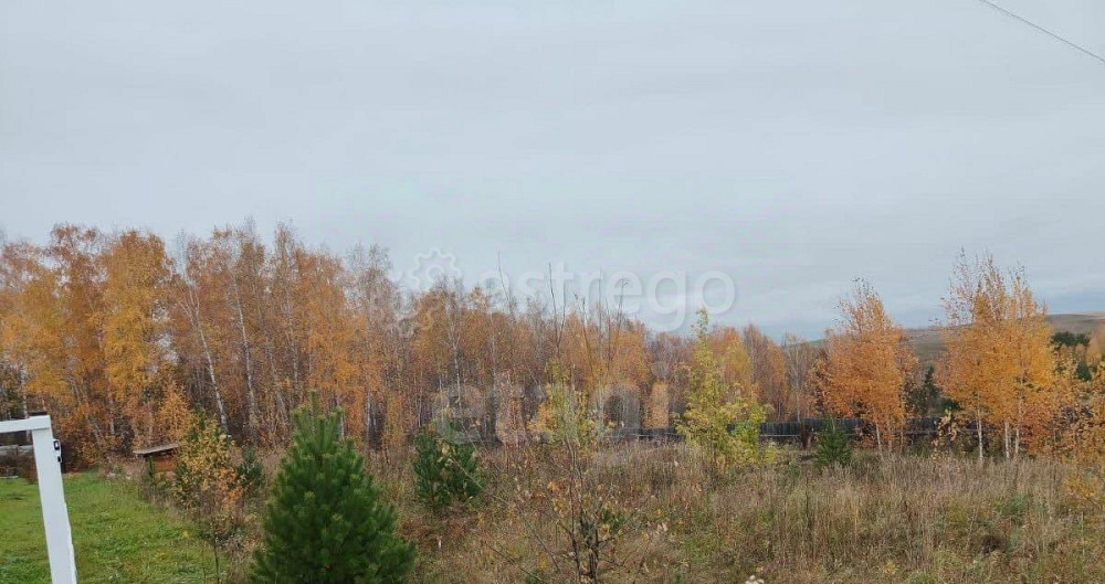 Земельный участок, 16.87 сотки Березовка - изображение 1