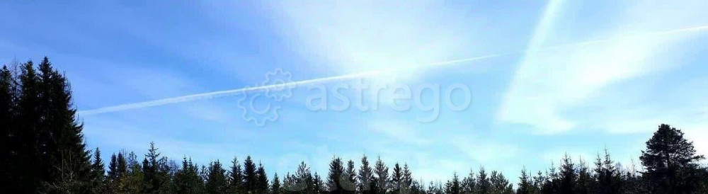 Земельный участок, 16.07 сотки Няндома - изображение 4