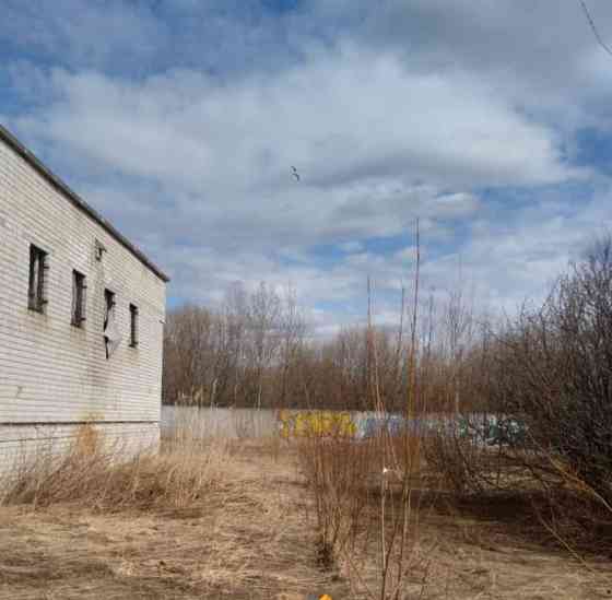 Коммерческий участок, 31 сотка Северодвинск